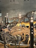 福井県立恐竜博物館に投稿された画像（2024/4/7）