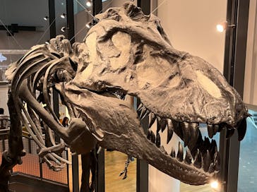 福井県立恐竜博物館に投稿された画像（2024/4/7）