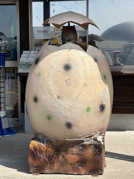 福井県立恐竜博物館に投稿された画像（2024/4/7）