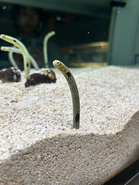 AOAO SAPPOROに投稿された画像（2024/4/7）