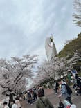 万博記念公園に投稿された画像（2024/4/7）