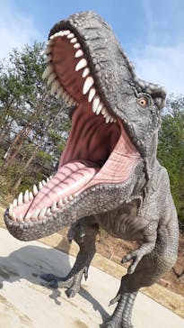 福井県立恐竜博物館に投稿された画像（2024/4/7）