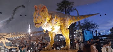 福井県立恐竜博物館に投稿された画像（2024/4/7）