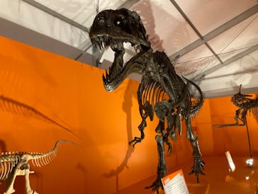 オダイバ恐竜博覧会2024 -福井から“ヤツラ”が新幹線でやってくる！-に投稿された画像（2024/4/7）