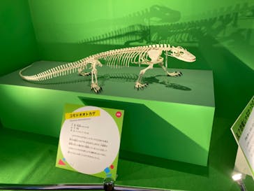 オダイバ恐竜博覧会2024 -福井から“ヤツラ”が新幹線でやってくる！-に投稿された画像（2024/4/7）