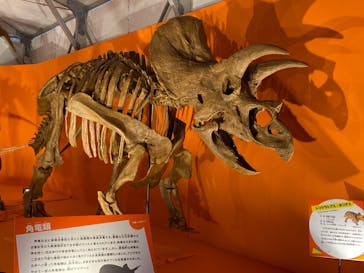 オダイバ恐竜博覧会2024 -福井から“ヤツラ”が新幹線でやってくる！-に投稿された画像（2024/4/7）
