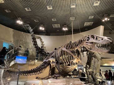 国立科学博物館に投稿された画像（2024/4/7）