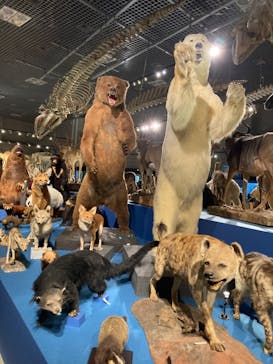 国立科学博物館に投稿された画像（2024/4/7）