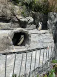 サンシャイン水族館に投稿された画像（2024/4/7）