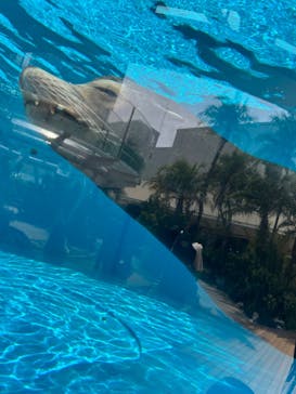 サンシャイン水族館に投稿された画像（2024/4/7）
