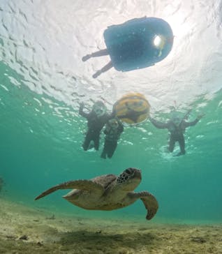 宮古島マリンショップSmileyに投稿された画像（2024/4/1）