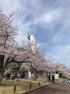 万博記念公園に投稿された画像（2024/4/7）