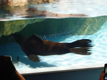 マクセル アクアパーク品川に投稿された画像（2024/4/7）