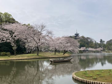 三溪園に投稿された画像（2024/4/7）