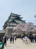 名古屋城に投稿された画像（2024/4/7）