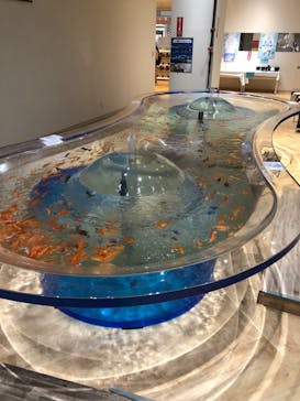 DMMかりゆし水族館に投稿された画像（2024/4/7）