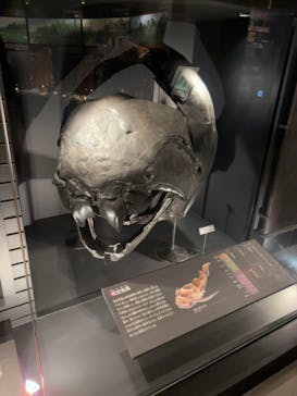 国立科学博物館に投稿された画像（2024/4/7）