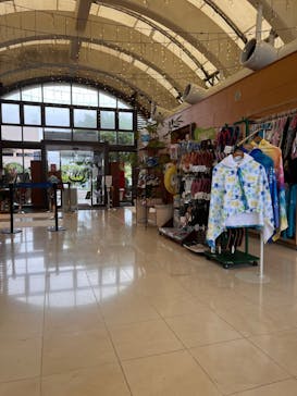 テルメヴィラちゅらーゆに投稿された画像（2024/4/7）