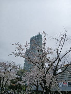 ハルカス300(展望台)に投稿された画像（2024/4/7）