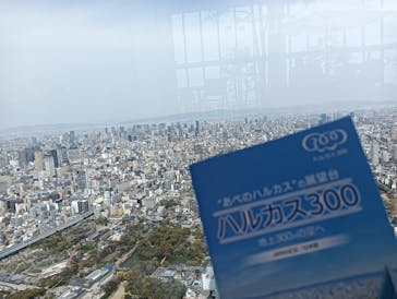 ハルカス300(展望台)に投稿された画像（2024/4/7）