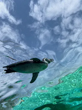 天王寺動物園に投稿された画像（2024/4/7）