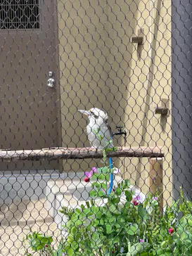 天王寺動物園に投稿された画像（2024/4/7）