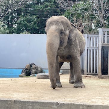 宇都宮動物園に投稿された画像（2024/4/7）