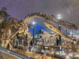 福井県立恐竜博物館に投稿された画像（2024/4/7）