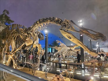 福井県立恐竜博物館に投稿された画像（2024/4/7）