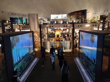 福井県立恐竜博物館に投稿された画像（2024/4/7）