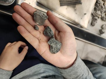 福井県立恐竜博物館に投稿された画像（2024/4/7）