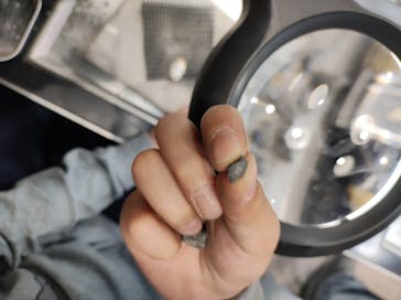 福井県立恐竜博物館に投稿された画像（2024/4/7）