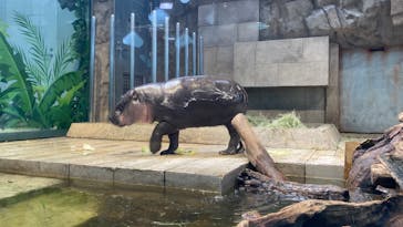 NIFREL（ニフレル）に投稿された画像（2024/4/7）