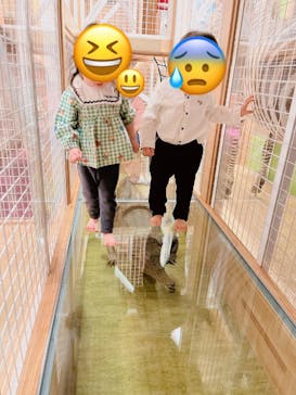 国立科学博物館に投稿された画像（2024/4/7）