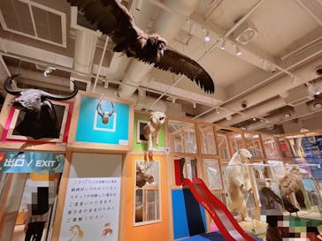 国立科学博物館に投稿された画像（2024/4/7）