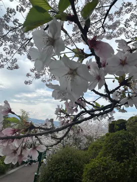 ひらかたパークに投稿された画像（2024/4/7）