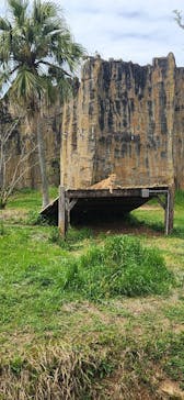 九十九島動植物園森きららに投稿された画像（2024/4/7）