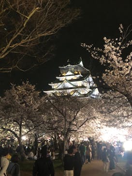 大阪城公園 西の丸庭園に投稿された画像（2024/4/7）