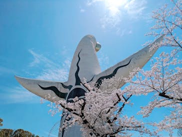 万博記念公園に投稿された画像（2024/4/7）