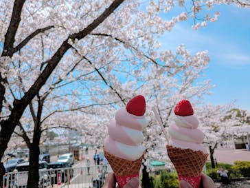 万博記念公園に投稿された画像（2024/4/7）