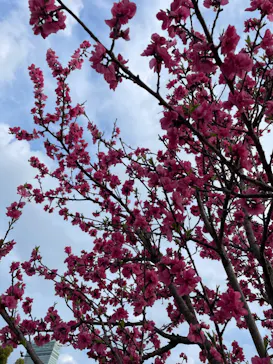天王寺動物園に投稿された画像（2024/4/7）