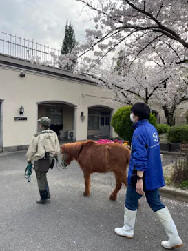 天王寺動物園に投稿された画像（2024/4/7）