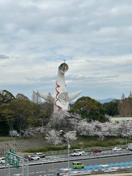 万博記念公園に投稿された画像（2024/4/7）