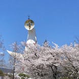 万博記念公園に投稿された画像（2024/4/7）