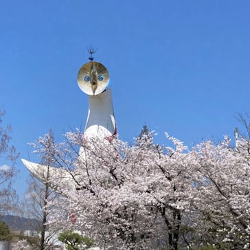 万博記念公園に投稿された画像（2024/4/7）