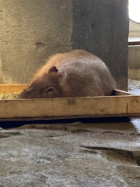 NIFREL（ニフレル）に投稿された画像（2024/4/7）