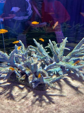 NIFREL（ニフレル）に投稿された画像（2024/4/7）