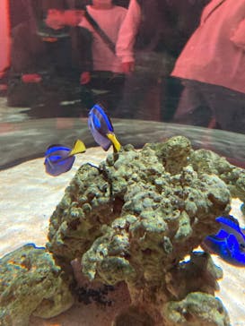 NIFREL（ニフレル）に投稿された画像（2024/4/7）