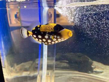 NIFREL（ニフレル）に投稿された画像（2024/4/7）