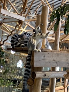 NIFREL（ニフレル）に投稿された画像（2024/4/7）